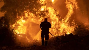 יוון בוערת: אלפים פונו מבתיהם, השריפות ממשיכות להשתולל