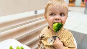 צלחת של אלופים: כך תגרמו לילד לבקש "עוד ירקות"