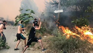 אלג'יריה: 42 בני אדם נהרגו בשריפות ענק