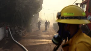 הוכלה השריפה בהרי ירושלים: "ניתן לבטל סיוע אווירי בינ"ל"