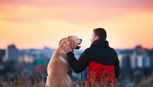 חברו הטוב של האדם: כך כלבים יכולים לגרום לכם להיות בריאים יותר