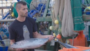 ים של דגים פרק 2: מעגן הדיג שביט בחיפה
