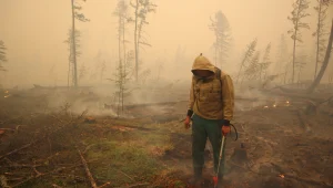 גרינפיס: יותר מ-180 מיליון דונם של חורש נשרפו ברוסיה ב-2021