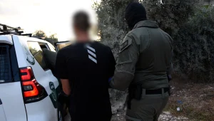 עסקאות נשק וחיסולים לאור יום: כך עלו שוב ארגוני הפשע בישראל