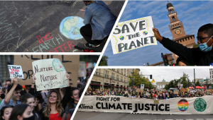בארץ ובעולם: עליית מדרגה בפעילות תנועות מחאת האקלים
