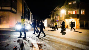 נורווגיה: 5 נרצחו ע"י אדם שהשתמש בחץ וקשת