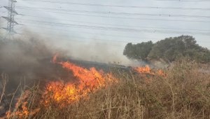 גל שריפות פרץ ברחבי הארץ: "אין עדיין שליטה על האש"