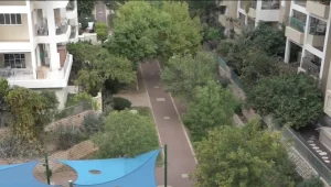 תושבי שכונה בכפ"ס זועמים: נער תוקף נשים בגינה - ועדיין חופשי