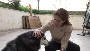 תיעוד: האיחוד המרגש בין סיגלית לכלבה בלו שנגנבה מחצר הבית