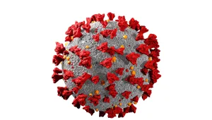 עלול להיות מדבק יותר ועמיד לחיסון: כל מה שצריך לדעת על הווריאנט החדש