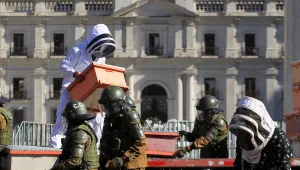 צ'ילה: כוורנים שחררו 10,000 דבורים בהפגנה, 7 שוטרים נעקצו