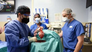 חודשיים לאחר הניתוח ההיסטורי: נפטר האדם שבגופו הושתל לב חזיר
