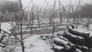 הסופה "אלפיס": רמת הגולן כבר כוסתה - בירושלים עדיין מחכים לשלג