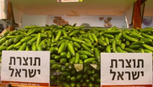 מבחן תוצרת הארץ - החלק השני: מהיכן מגיע שמן הזית "הישראלי" בסופר?