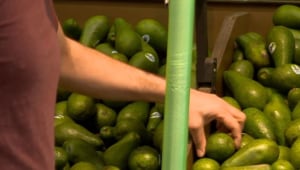 ירקות יקרים: הדו"ח שקבע כי רשתות השיווק הן לא המרוויחות הגדולות