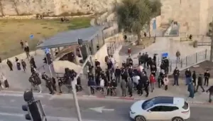 פיגוע שני בירושלים תוך יממה: שני שוטרים נפצעו בינוני וקל - המחבל נתפס