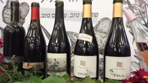 לא רק אדום או לבן: היין הצונן שצובע את הקיץ הישראלי בגוונים של ורוד