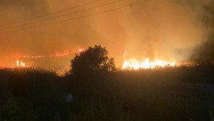 שריפה ביער בצפון: 10 צוותי כיבוי פועלים במקום