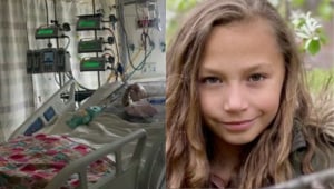 ארה"ב: לאחר שהותקפה באכזריות ע"י פומה - בת ה-9 התעוררה מתרדמת