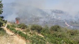 שריפה בהרי ירושלים: נבלמה האש שהתפשטה למבשרת ציון