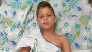 "הפיל אותי ונשך לי את הבטן": בן 9 הותקף ע"י פיטבול - וכמעט נהרג