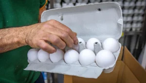 גל ההתייקרויות לא עוצר: מחירי הביצים יזנקו ב-16%