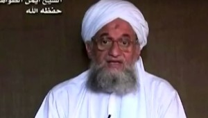 נסגר המעגל: חוסל מנהיג אל-קאעידה שירש את בן לאדן