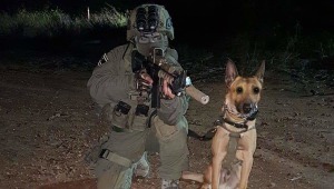 "השתלט על המחבל שרצח את אורי אנסבכר": הכלב "זילי" נהרג בשכם