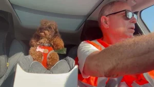 פקחית על ארבע: הכלבה סויה מתנדבת במשמר האזרחי ושומרת על יבנה