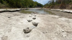 בעקבות הבצורת: עקבות דינוזאור בנות 113 מיליון שנה התגלו בטקסס