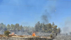 עשרות צוותים פועלים לכיבוי שריפה סמוך לבית שמש
