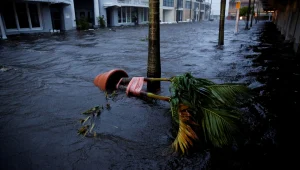 "חשש להרוגים רבים": בפלורידה אומדים את נזקי הוריקן "איאן"