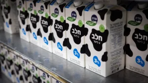 ההתייקרויות הצפויות במשק: מוצרי חלב בפיקוח ובנזין