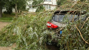 כשהטבע כועס: מה עושים כשהרכב נפגע מנזקי טבע?
