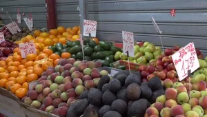 "הולכים לקראת בצורת": כיצד משפיע מזג האוויר על מחיר הפירות?