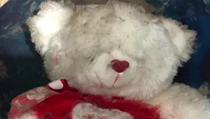 הדובי ששווה מיליונים: אישה גילתה בבובה של בעלה מידע מפתיע