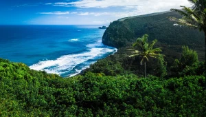 הדברים הכי מיוחדים לעשות באי הגדול של הוואי