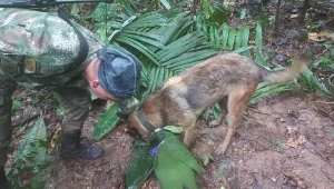 נשיא קולומביה הודיע כי 4 ילדים שרדו בג'ונגל - וחזר בו