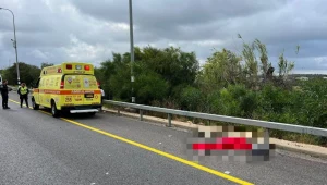 הקטל בכבישים: בת 50 נהרגה מפגיעת כלי רכב בכביש 89