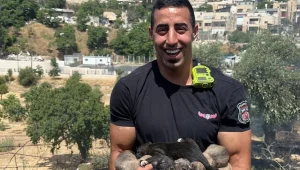 "הצלנו חיים": לוחמי אש חילצו גורי כלבים שנלכדו בשריפה בירושלים