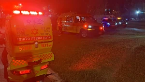 לילה קטלני בכבישים: בת 9 נהרגה, שני צעירים נפצעו בינוני-קשה