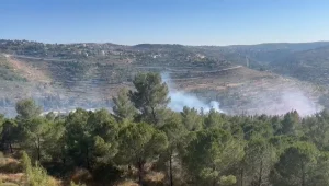 שריפה גדולה בירושלים: החל פינוי גן החיות התנ"כי