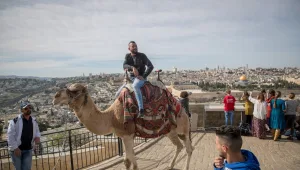 אירוע חריג בירושלים: גמל נשך תיירת קנדית ופצע אותה קל