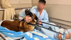 לצד הלוחם שנפצע: הכלב "דאגו" נפגע בג'נין - ונשאר לצד מיטתו