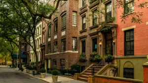 לא לחובבי המבורגר: דירה בניו יורק מוצעת להשכרה - לצמחונים בלבד