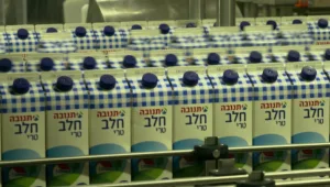 לשווק לחו"ל יום משתלם: מועצת החלב מתריעה ממחסור בחלב מפוקח