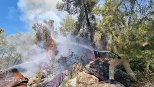 שריפה ליד מודיעין עילית: בתים בכפר האורנים פונו, מטוסים הוזנקו