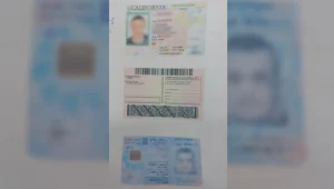 רישיון נהיגה מזויף תמורת תשלום: שלושה תושבי יפו נעצרו