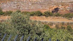 חיזבאללה הקים תשתית בטון בשטח ישראל, צבא לבנון הסיר אותה