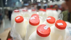 חלב תוצרת פולין הגיע לארץ: "להתגבר על המחסור"